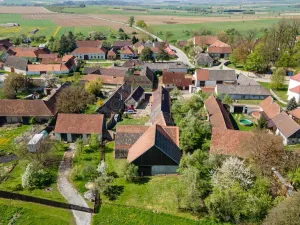 Prodej zemědělské usedlosti, Krasonice, 350 m2
