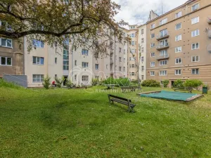 Pronájem bytu 1+kk, Praha - Žižkov, Viklefova, 34 m2