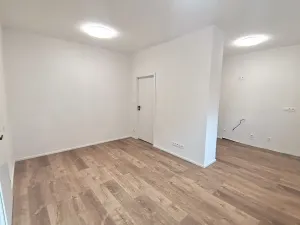 Prodej bytu 2+kk, Praha - Žižkov, Rečkova, 58 m2