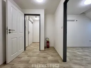 Pronájem bytu 1+kk, Brno, Bašty, 34 m2