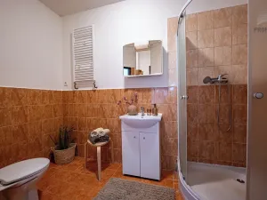 Prodej bytu 2+kk, Brno, Elgartova, 63 m2