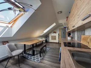 Pronájem bytu 2+1, Teplice, Českobratrská, 90 m2
