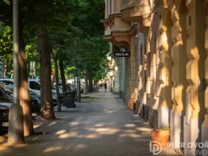 Prodej bytu 3+kk, Praha - Karlín, U invalidovny, 71 m2