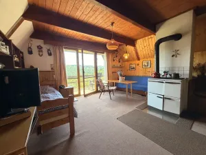 Prodej chaty, Zábřeh - Dolní Bušínov, 95 m2
