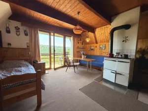 Prodej chaty, Zábřeh - Dolní Bušínov, 95 m2