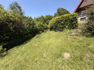 Prodej chaty, Zábřeh - Dolní Bušínov, 95 m2