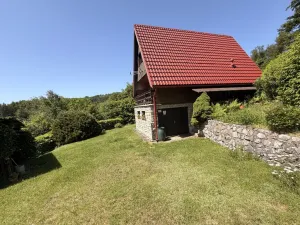 Prodej chaty, Zábřeh - Dolní Bušínov, 95 m2