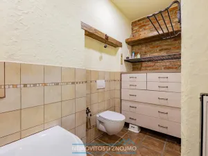 Prodej obchodního prostoru, Znojmo, Sokolská, 547 m2