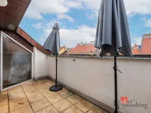 Prodej bytu 6+kk a větší, Praha - Žižkov, Hartigova, 187 m2