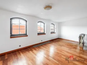 Prodej bytu 6+kk a větší, Praha - Žižkov, Hartigova, 187 m2