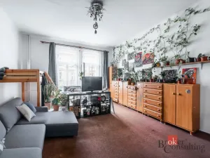 Prodej bytu 6+kk a větší, Praha - Žižkov, Hartigova, 187 m2