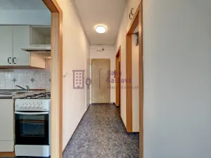 Pronájem bytu 3+1, Jindřichův Hradec - Jindřichův Hradec III, sídliště Vajgar, 65 m2