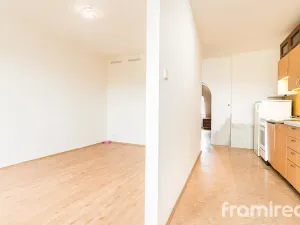 Prodej bytu 2+kk, Brno - Židenice, Otakara Ševčíka, 46 m2
