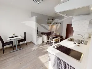 Pronájem bytu 1+kk, Praha - Chodov, Brodského, 33 m2