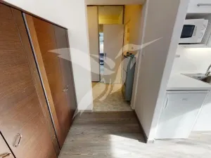 Pronájem bytu 1+kk, Praha - Chodov, Brodského, 33 m2