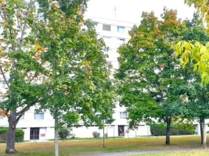 Pronájem bytu 3+kk, Hradec Králové - Nový Hradec Králové, Milady Horákové, 68 m2