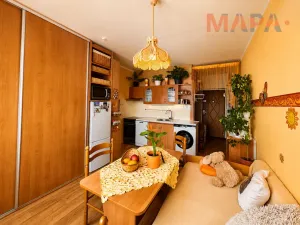 Pronájem bytu 1+1, Jirkov, Alešova, 39 m2
