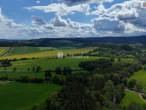 Prodej chalupy, Rožmitál pod Třemšínem - Skuhrov, 284 m2