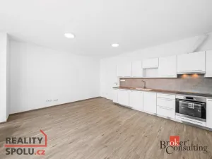Pronájem bytu 1+kk, Plzeň - Jižní Předměstí, Železná, 42 m2