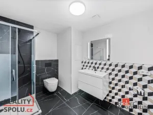 Pronájem bytu 1+kk, Plzeň - Jižní Předměstí, Železná, 42 m2