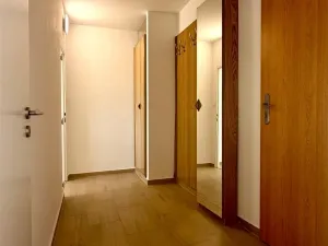 Pronájem bytu 1+1, Cheb, Májová, 38 m2