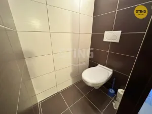 Pronájem rodinného domu, Vícenice u Náměště nad Oslavou, 230 m2