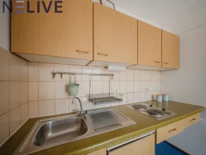 Prodej bytu 1+kk, Bahnhofstraße,Bayerisch Eisenstein,Německo, 25 m2