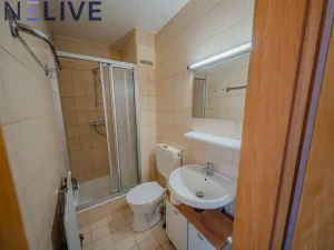 Prodej bytu 1+kk, Železná Ruda - Alžbětín, Německo, 25 m2