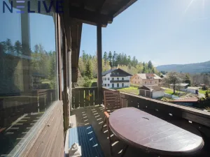 Prodej bytu 1+kk, Železná Ruda - Alžbětín, Německo, 25 m2
