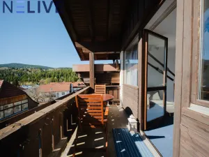 Prodej bytu 1+kk, Železná Ruda - Alžbětín, Německo, 25 m2