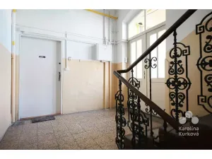 Pronájem bytu 1+kk, Praha - Karlín, Šaldova, 25 m2