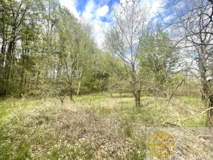 Prodej pozemku pro bydlení, Soběslav - Soběslav III, Wilsonova, 1132 m2
