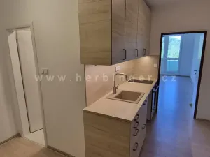 Pronájem bytu 1+kk, Otrokovice, Školní, 33 m2