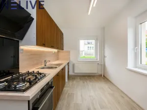 Pronájem rodinného domu, Plzeň, Slovanské údolí, 198 m2