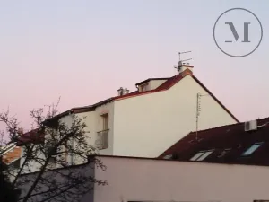 Pronájem bytu 3+kk, České Budějovice, Branišovská, 140 m2