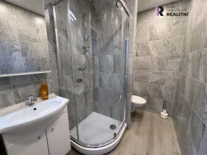 Pronájem bytu 2+1, Ostrov, Jungmannova, 59 m2