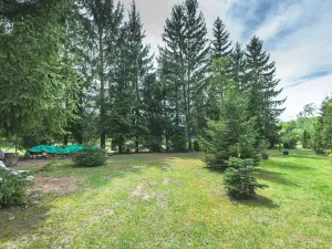 Prodej chaty, Býchory, 35 m2