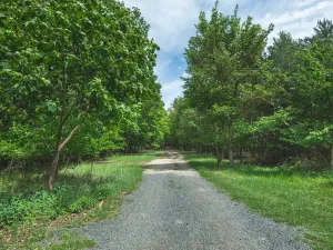 Prodej chaty, Býchory, 35 m2
