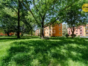 Prodej bytu 2+1, Ostrava, Jubilejní, 50 m2