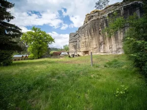Prodej pozemku pro bydlení, Nová Ves u Leštiny, 1174 m2