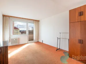 Pronájem bytu 2+1, České Budějovice, Mánesova, 65 m2