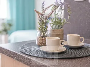 Pronájem bytu 1+kk, Hradec Králové, Pražská třída, 25 m2