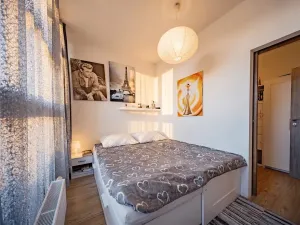 Prodej bytu 3+kk, Plzeň, Mutěnická, 55 m2