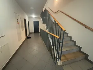 Pronájem bytu 1+kk, Praha - Motol, Jeřabinová, 43 m2