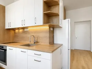 Pronájem bytu 2+kk, Praha - Nusle, Boleslavova, 37 m2