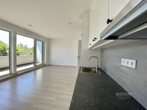 Pronájem bytu 1+kk, Mladá Boleslav, Nad Červenkou, 40 m2