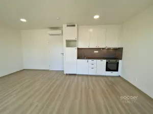 Pronájem bytu 1+kk, Mladá Boleslav, Nad Červenkou, 40 m2