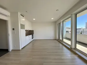 Pronájem bytu 1+kk, Mladá Boleslav, Nad Červenkou, 40 m2