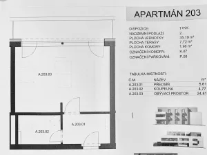 Pronájem bytu 1+kk, Mladá Boleslav, Nad Červenkou, 40 m2