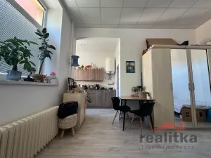 Pronájem bytu 1+kk, Opava - Předměstí, Olbrichova, 30 m2